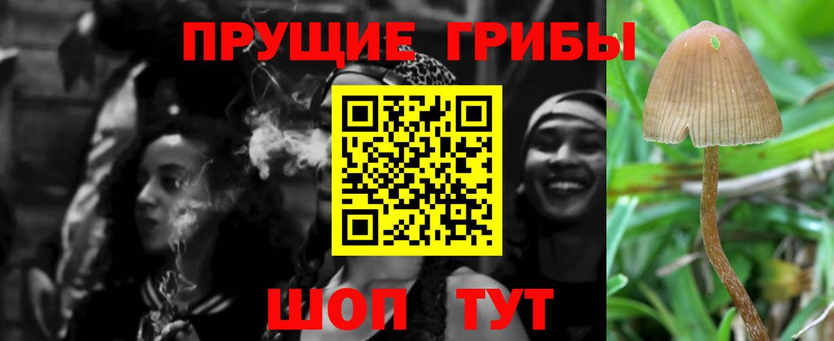 Бугуруслан  Галлюциногенные грибы GOLDEN TEACHER  Вход с VPN 