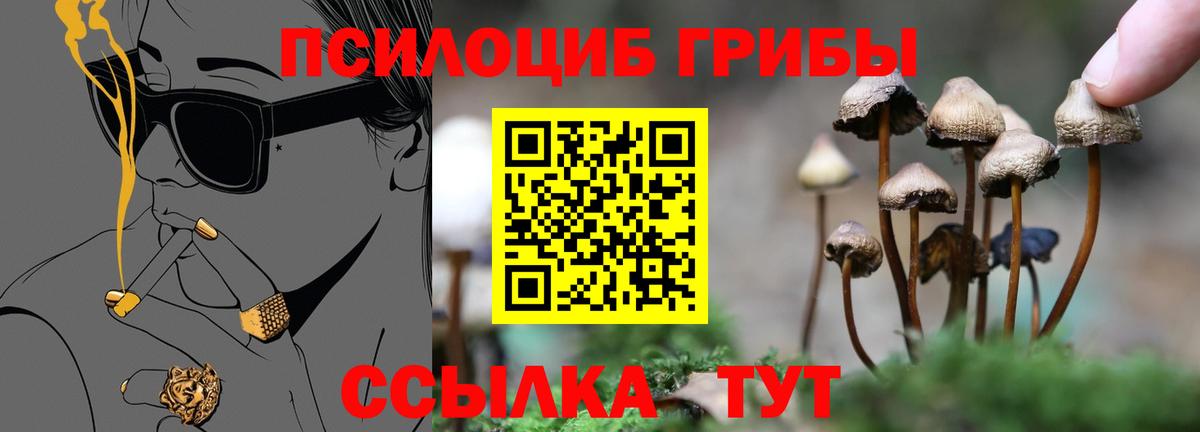 Галлюциногенные грибы Cubensis Бугуруслан